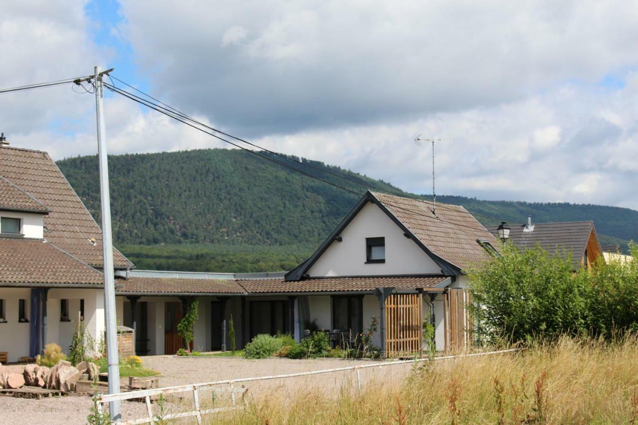 Le Clos Du Haslach Villa Niederhaslach Exterior photo